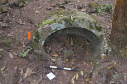 Jar 52030032 Thumbnail