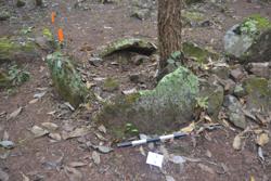 Jar 52030034 Thumbnail