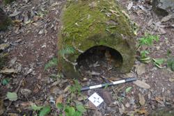 Jar 52030035 Thumbnail