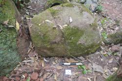 Jar 52030037 Thumbnail