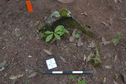 Jar 52030049 Thumbnail