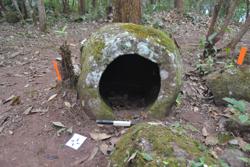 Jar 52030052 Thumbnail
