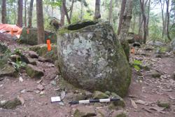 Jar 52030058 Thumbnail