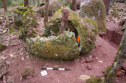 Jar 52030065 Thumbnail