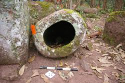 Jar 52030066 Thumbnail