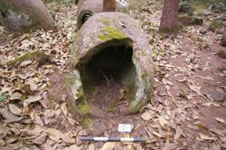 Jar 52030067 Thumbnail