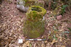 Jar 52030069 Thumbnail
