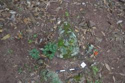 Jar 52030071 Thumbnail