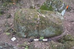 Jar 52030074 Thumbnail
