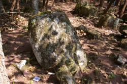 Jar 52030079 Thumbnail