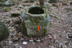 Jar 52030082 Thumbnail