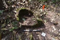 Jar 52030086 Thumbnail