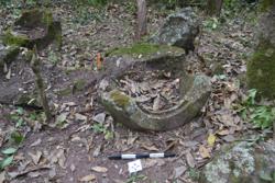 Jar 52030087 Thumbnail