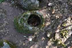 Jar 52030093 Thumbnail