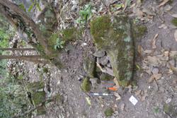 Jar 52030094 Thumbnail