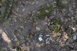 Jar 52030102 Thumbnail