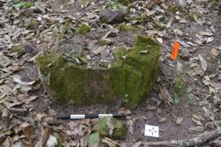 Jar 52030103 Thumbnail