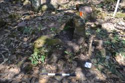 Jar 52030104 Thumbnail