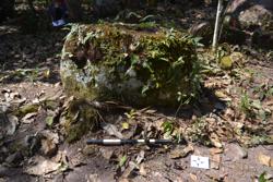 Jar 52030105 Thumbnail