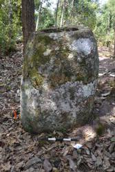 Jar 52030106 Thumbnail