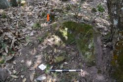Jar 52030107 Thumbnail