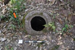 Jar 52030111 Thumbnail