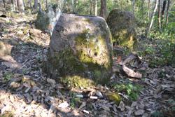 Jar 52030112 Thumbnail