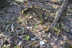 Jar 52030116 Thumbnail