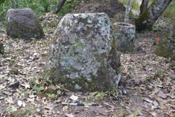 Jar 52030117 Thumbnail