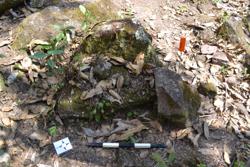 Jar 52030119 Thumbnail