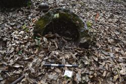 Jar 52030123 Thumbnail