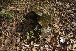 Jar 52030124 Thumbnail
