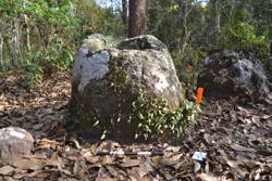 Jar 52030126 Thumbnail