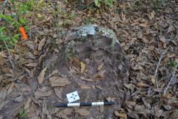 Jar 52030132 Thumbnail
