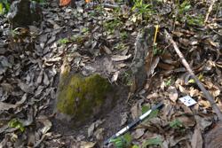 Jar 52030133 Thumbnail