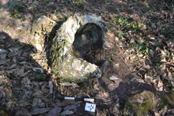 Jar 52030141 Thumbnail