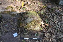 Jar 52030143 Thumbnail