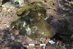 Jar 52030146 Thumbnail