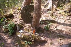 Jar 52030154 Thumbnail