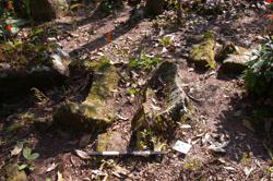 Jar 52030156 Thumbnail