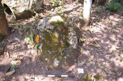 Jar 52030157 Thumbnail