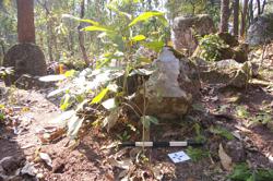 Jar 52030159 Thumbnail