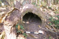 Jar 52030160 Thumbnail