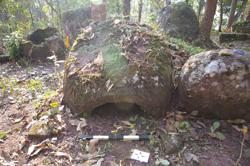 Jar 52030162 Thumbnail