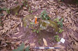 Jar 52030165 Thumbnail
