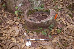 Jar 52030169 Thumbnail
