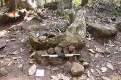 Jar 52030173 Thumbnail