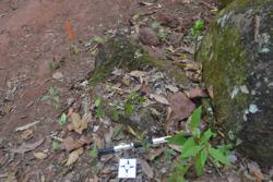 Jar 52030183 Thumbnail