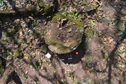 Jar 52030189 Thumbnail