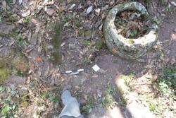 Jar 52030191 Thumbnail